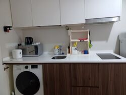 Riversound Residence (D19), Condominium #409880311